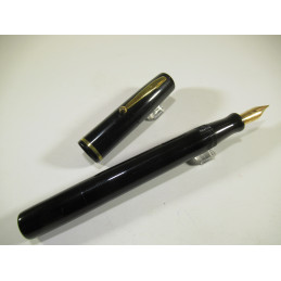 Fountain pen JIF WATERMAN...