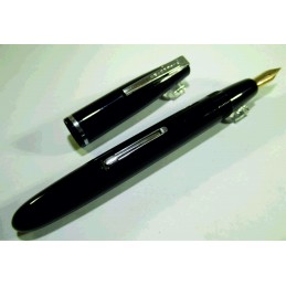 Fountain pen WATERMAN