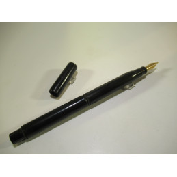 Rare French fountain pen...