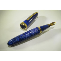 Large fountain pen...