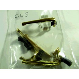 Set of 10 gold plated clips...