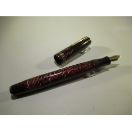 Fountain pen PARKER...