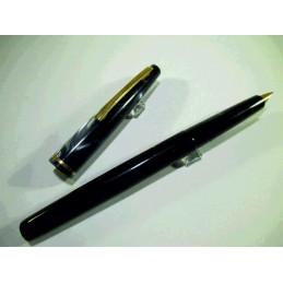 French fountain pen unbranded