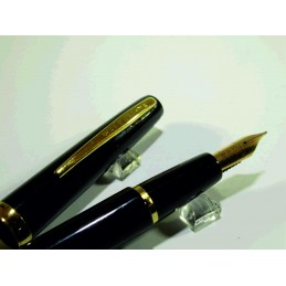 Fountain pen or WATERMAN...